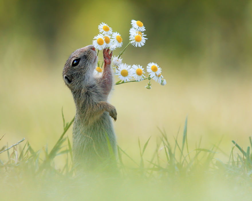 Take Time To Smell The Flowers