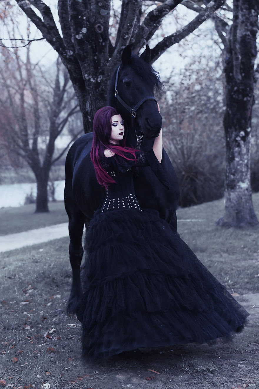 I Capture The Power And The Beauty Of A Frisian Stallion I Capture The Power And The Beauty Of A Frisian Stallion