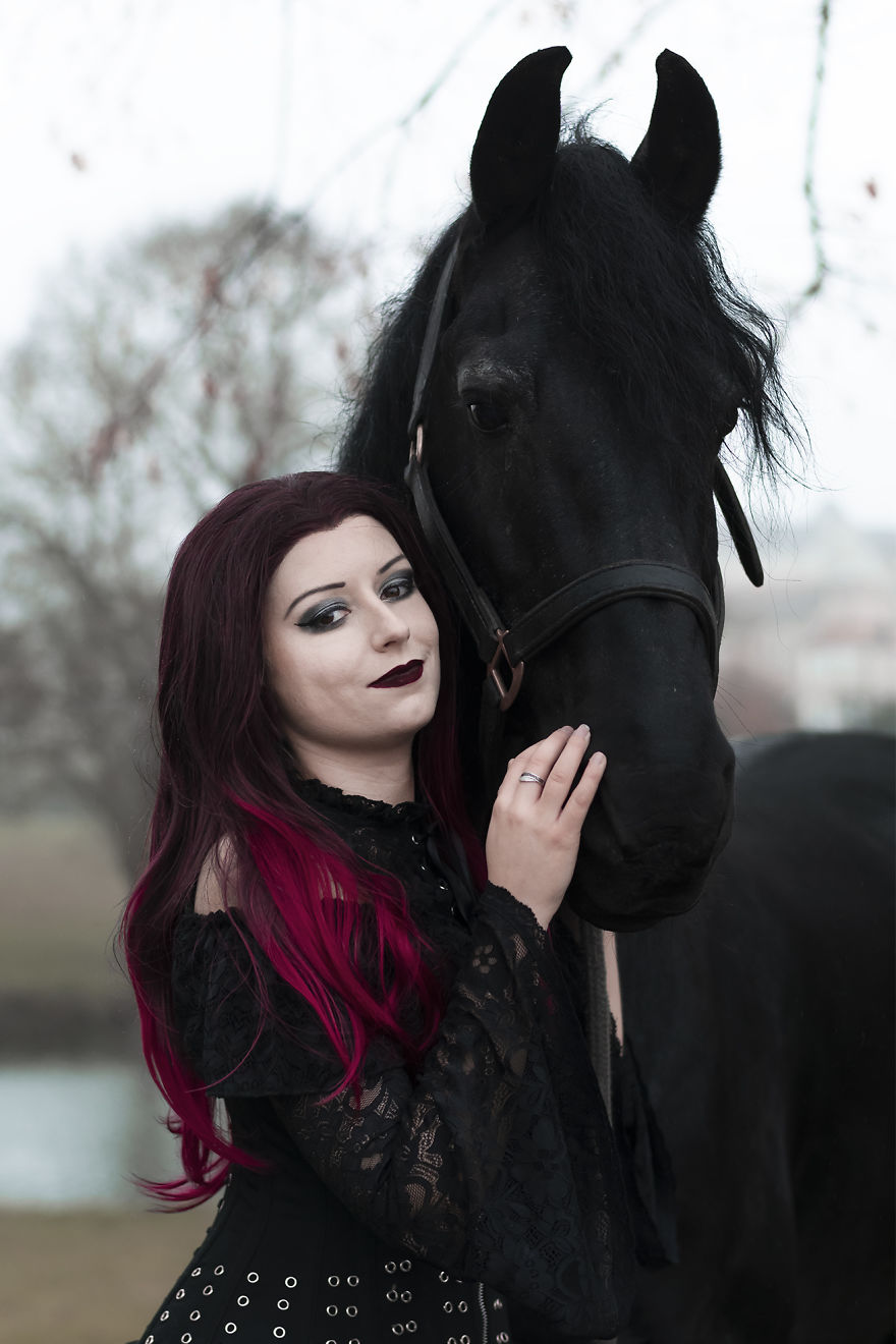 I Capture The Power And The Beauty Of A Frisian Stallion I Capture The Power And The Beauty Of A Frisian Stallion