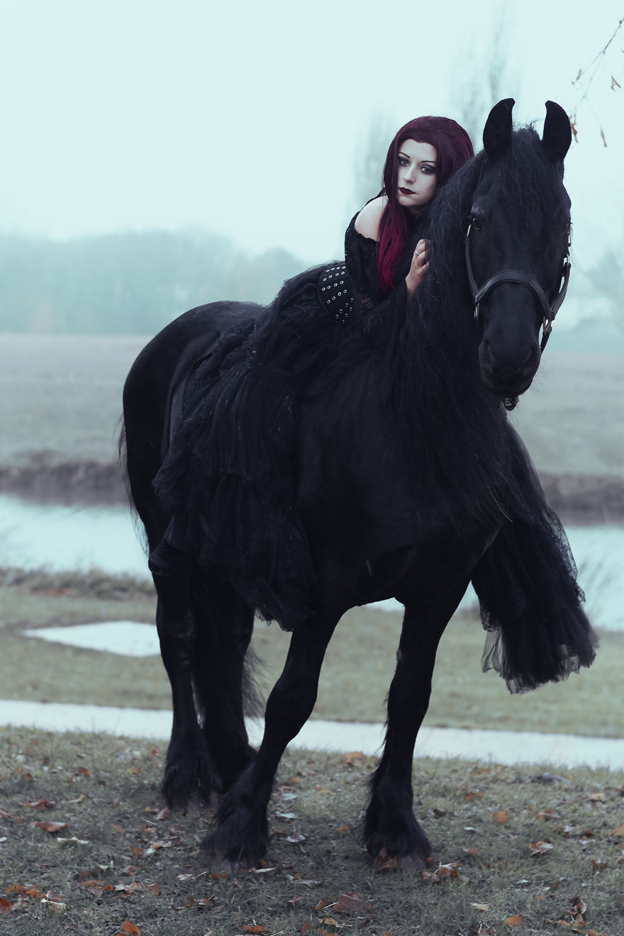 I Capture The Power And The Beauty Of A Frisian Stallion I Capture The Power And The Beauty Of A Frisian Stallion