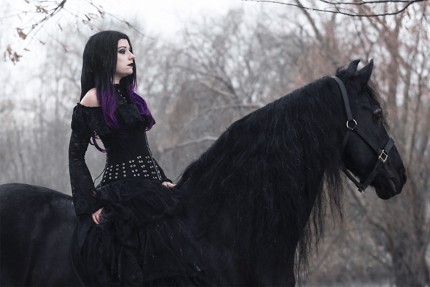 I Capture The Power And The Beauty Of A Frisian Stallion I Capture The Power And The Beauty Of A Frisian Stallion