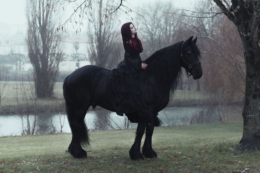 I Capture The Power And The Beauty Of A Frisian Stallion I Capture The Power And The Beauty Of A Frisian Stallion