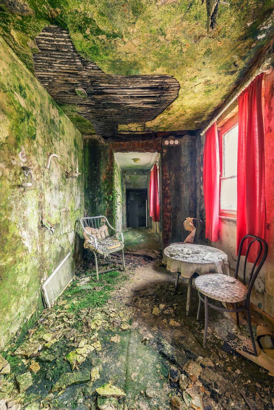 The Beauty Of Decay The Beauty Of Decay