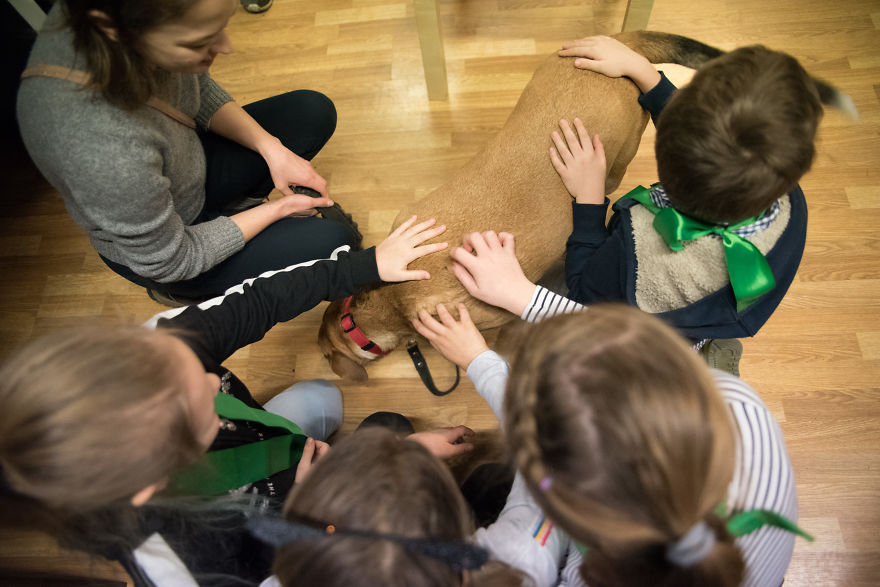 I Organized The First Ever Prague's Cuddliest Dog Contest With Kids As Judges And It Was A Very Wholesome Experience