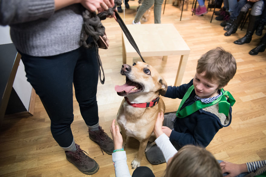 I Organized The First Ever Prague's Cuddliest Dog Contest With Kids As Judges And It Was A Very Wholesome Experience