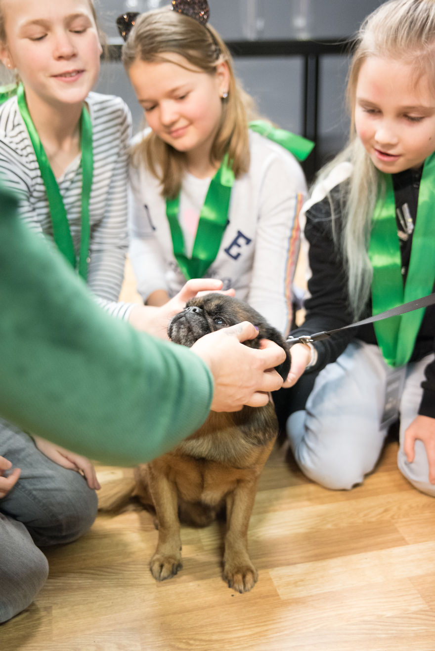 I Organized The First Ever Prague's Cuddliest Dog Contest With Kids As Judges And It Was A Very Wholesome Experience