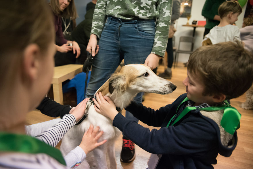 I Organized The First Ever Prague's Cuddliest Dog Contest With Kids As Judges And It Was A Very Wholesome Experience