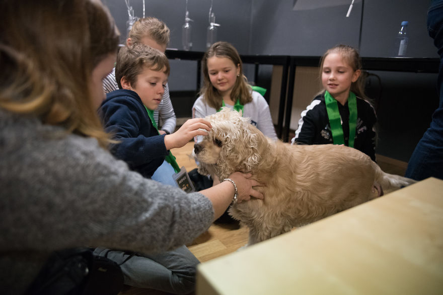 I Organized The First Ever Prague's Cuddliest Dog Contest With Kids As Judges And It Was A Very Wholesome Experience
