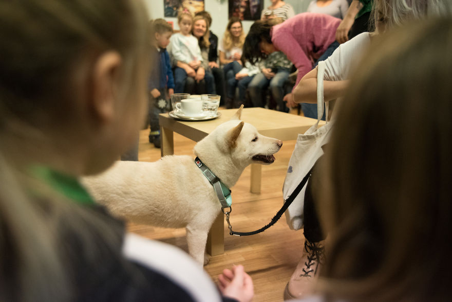 I Organized The First Ever Prague's Cuddliest Dog Contest With Kids As Judges And It Was A Very Wholesome Experience