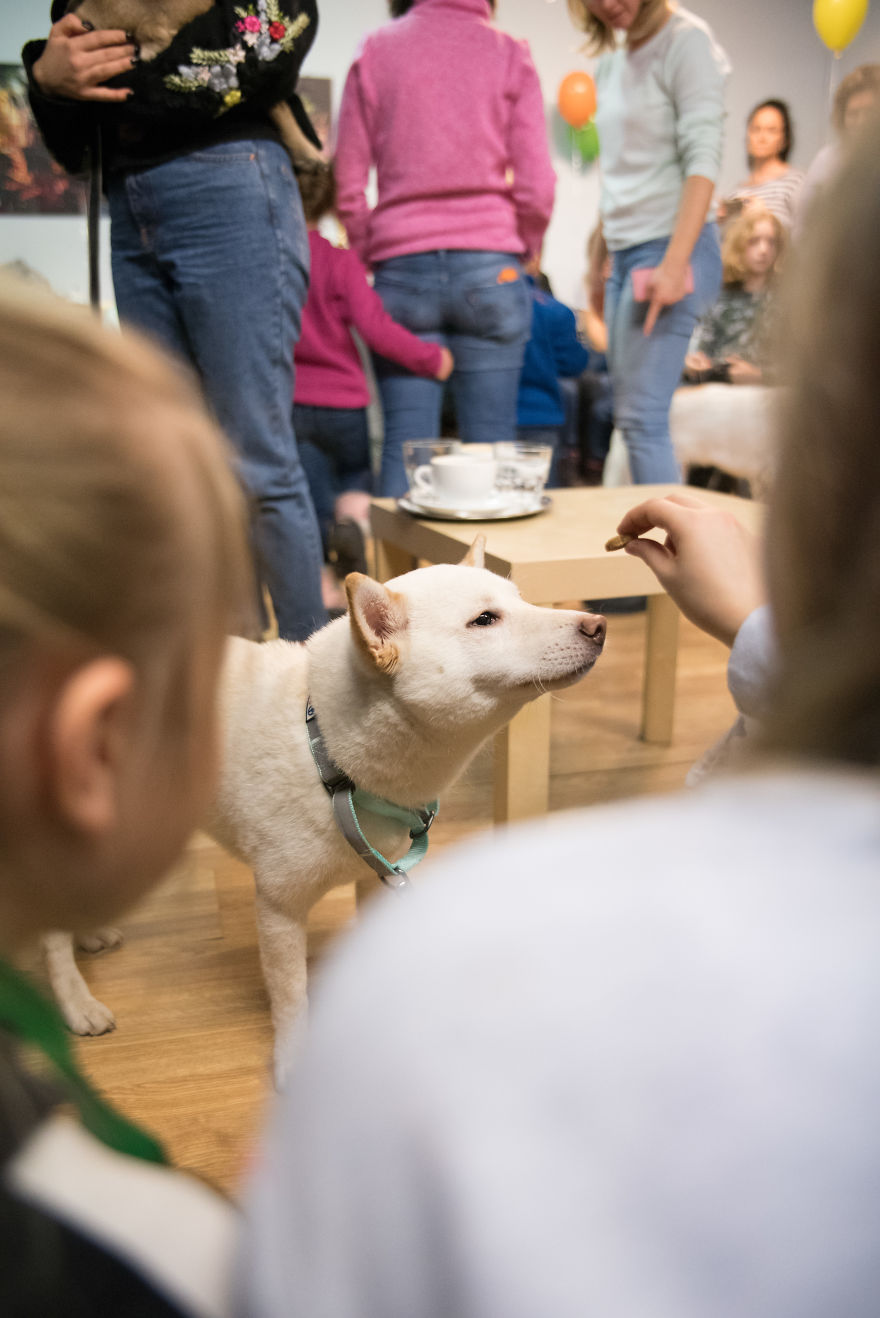I Organized The First Ever Prague's Cuddliest Dog Contest With Kids As Judges And It Was A Very Wholesome Experience