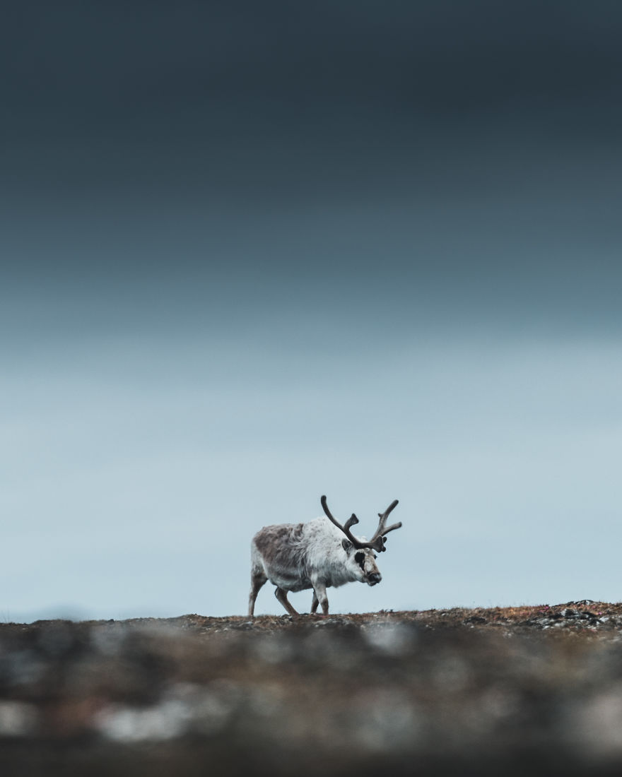 Have You Ever Heard Of Svalbard? Have You Ever Heard Of Svalbard?