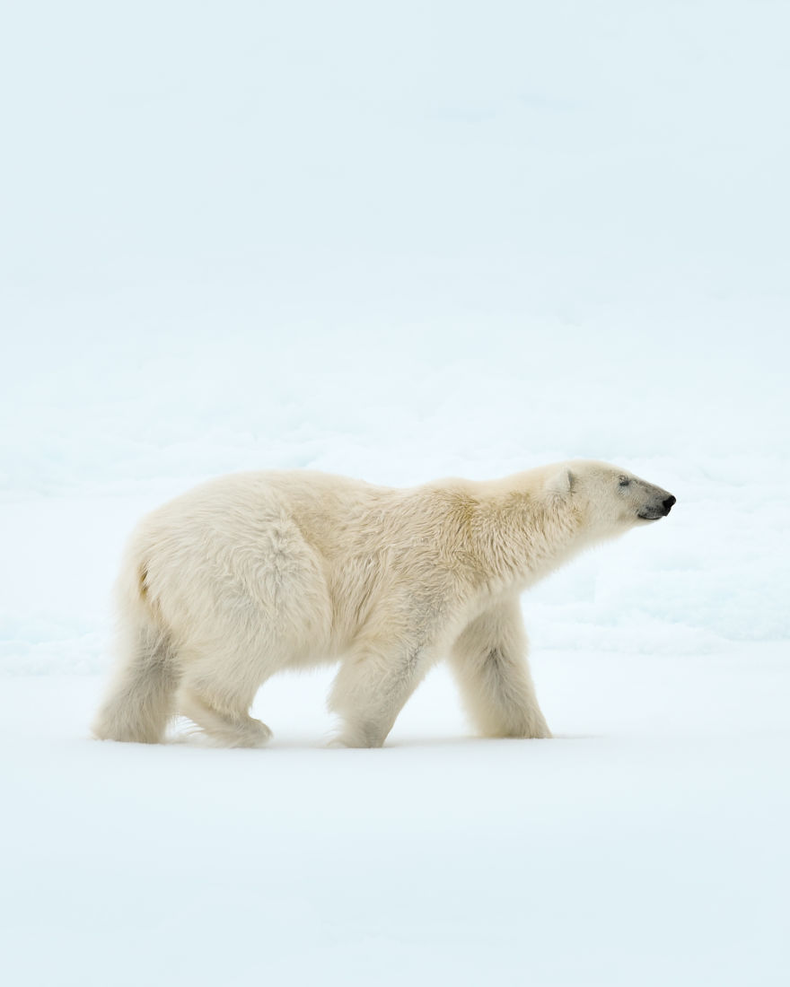 Have You Ever Heard Of Svalbard? Have You Ever Heard Of Svalbard?