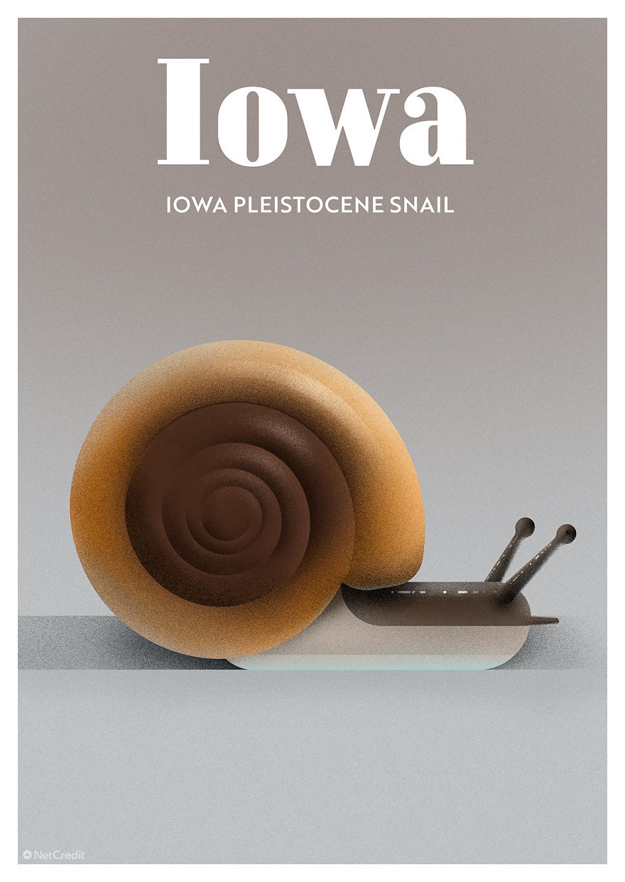 Iowa Pleistocene Snail