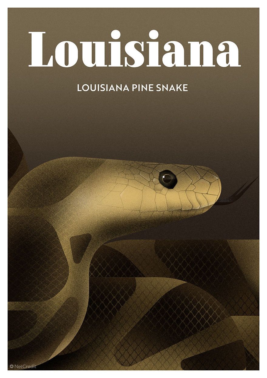 Louisiana Pine Snake