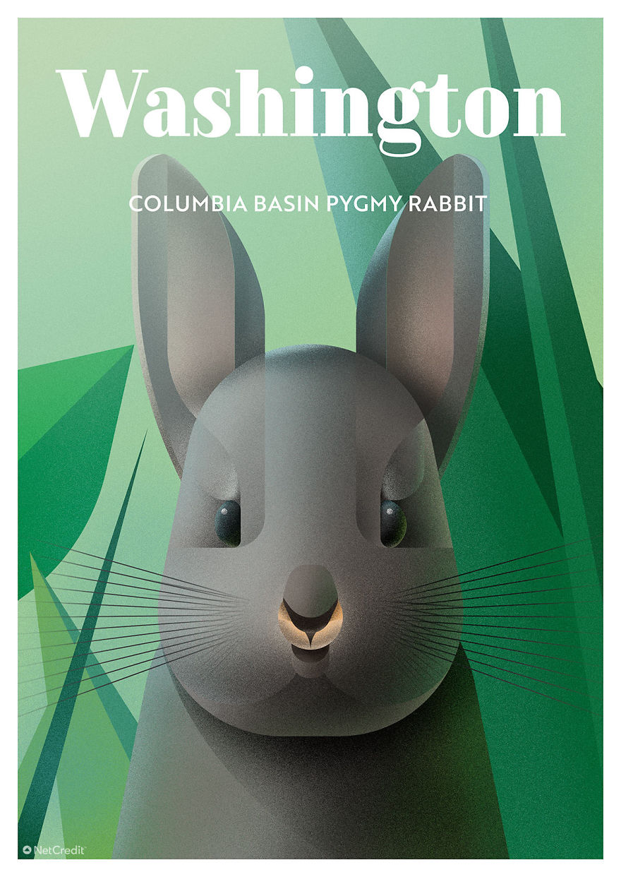 Columbia Basin Pygmy Rabbit