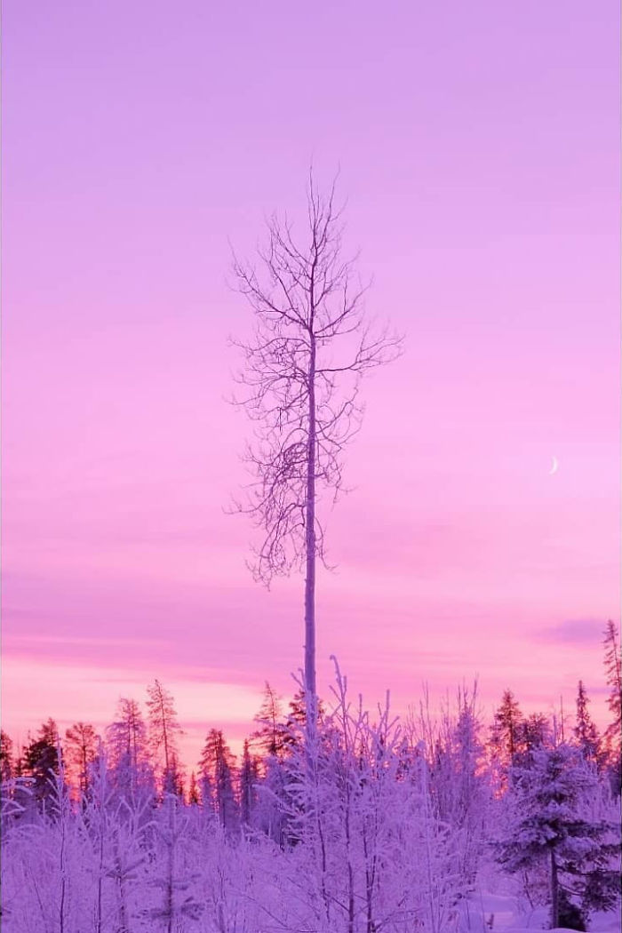 I Capture The Beautiful Winter In The Northern Part Of Sweden