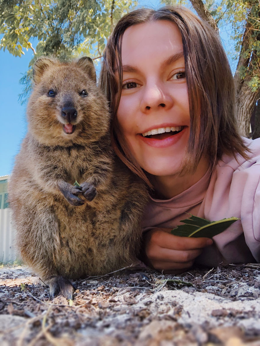 Wanita ini terbang 25 jam ke Australia hanya untuk bertemu hewan ini