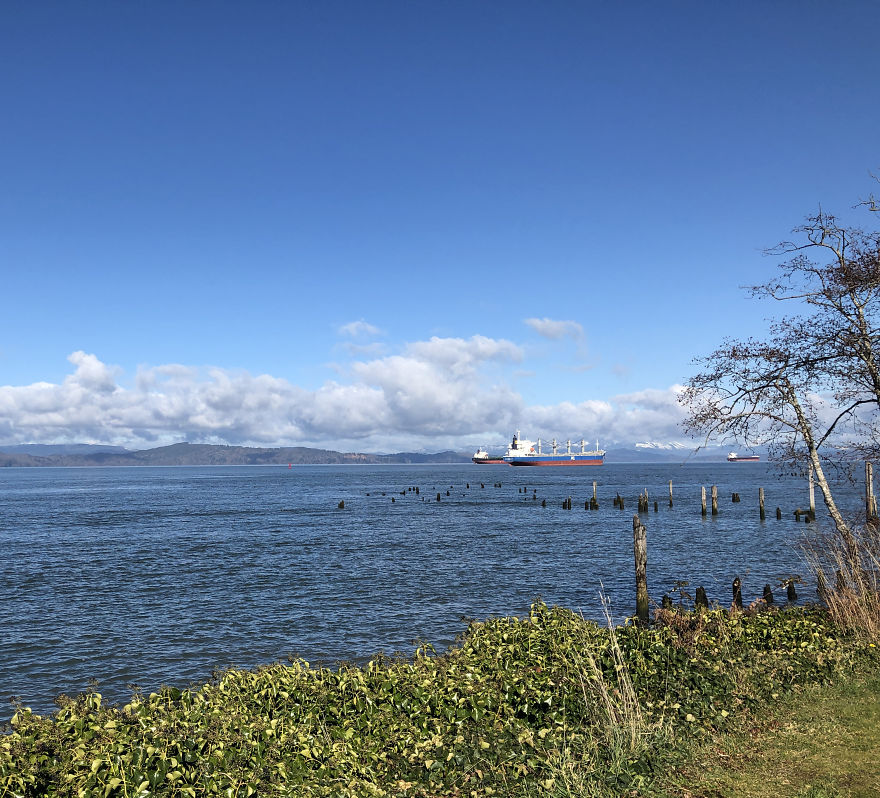 Ended Up In Astoria, Or