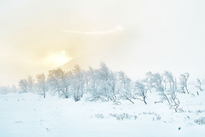 I Capture The Beautiful Winter In The Northern Part Of Sweden