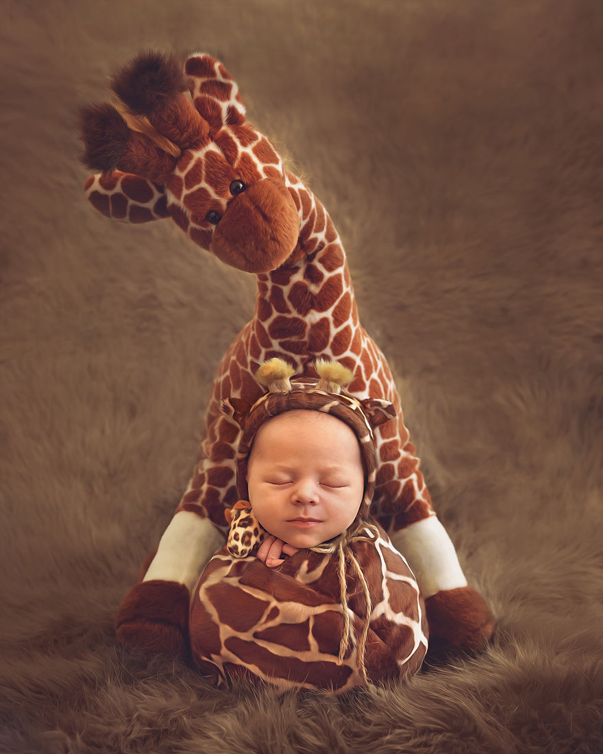 Newborns Baby Animal Series