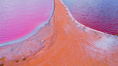 Magic Pink Lagoon In Western Australia