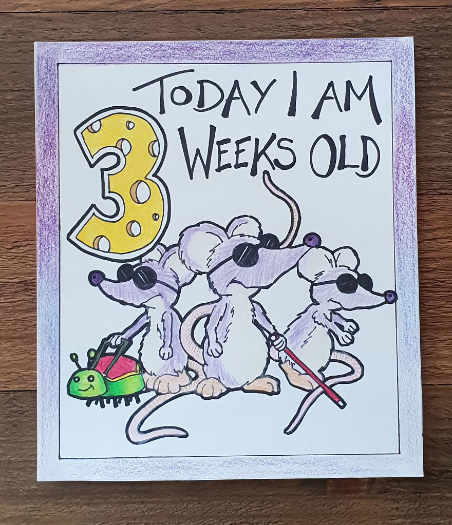My Husband Created Charming Illustrations For Our Children’s Milestone Cards