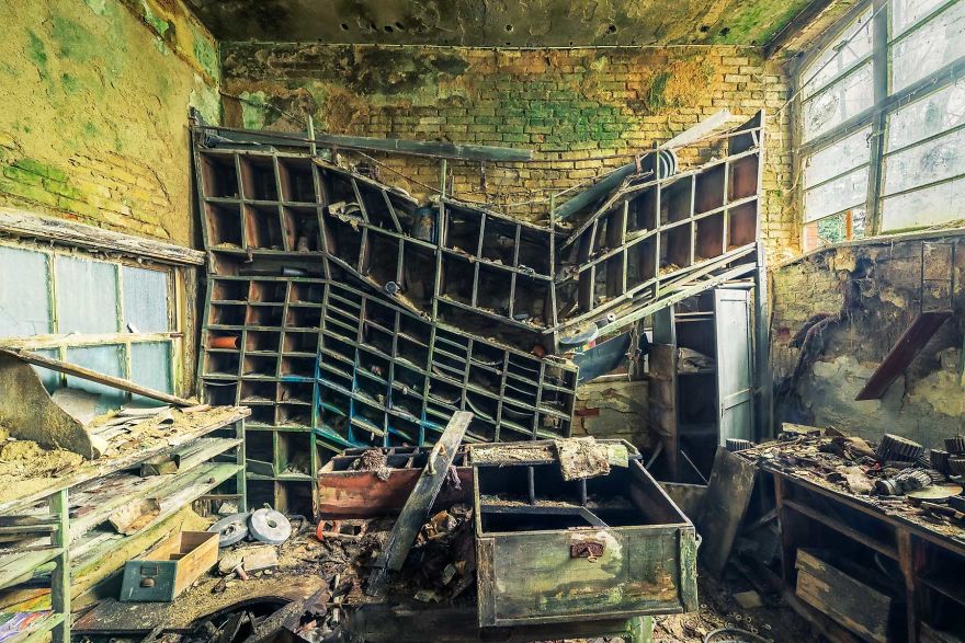 The Beauty Of Decay The Beauty Of Decay