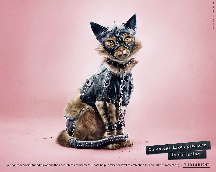 A Powerful Anti-Cruelty Campaign Uses Shocking Images To Show That No Animal Gets Pleasure From Suffering
