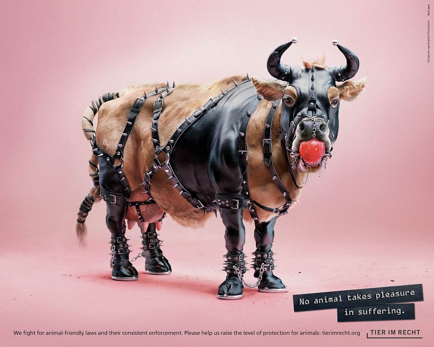 A Powerful Anti-Cruelty Campaign Uses Shocking Images To Show That No Animal Gets Pleasure From Suffering
