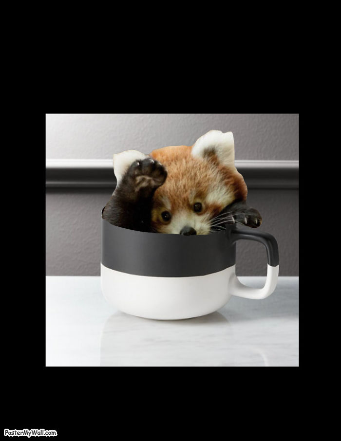 There's A Red Panda Popping Out Of A Hole! They Said... Share Your Photoshopped Images Of This Guy!