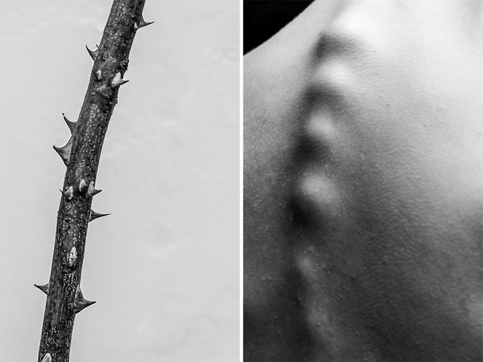 Visual Exercises - A Series Of Diptychs