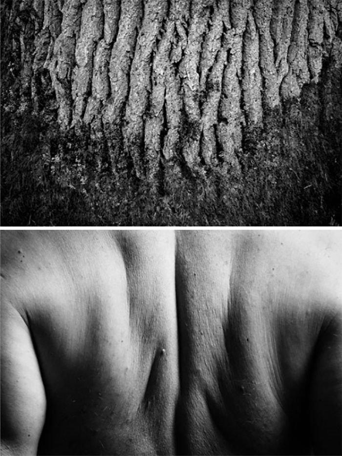 Visual Exercises - A Series Of Diptychs