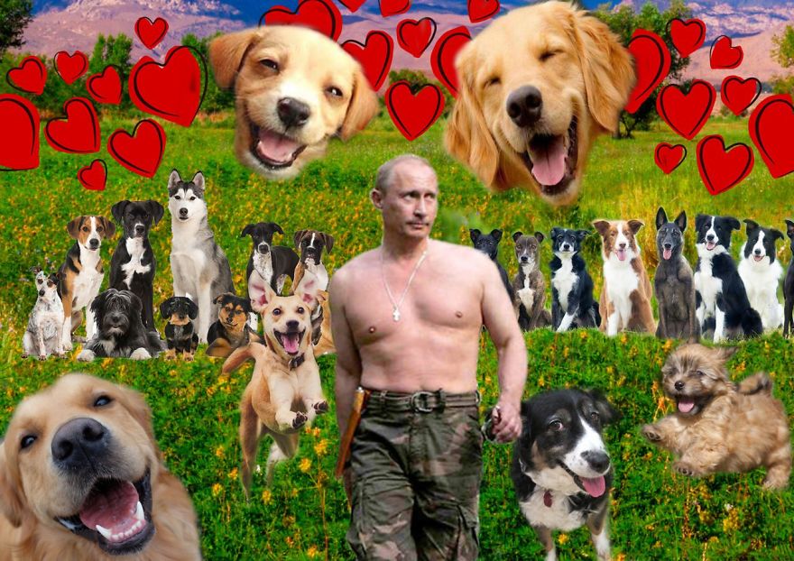 We Made A Song About Putin's Love For Puppies