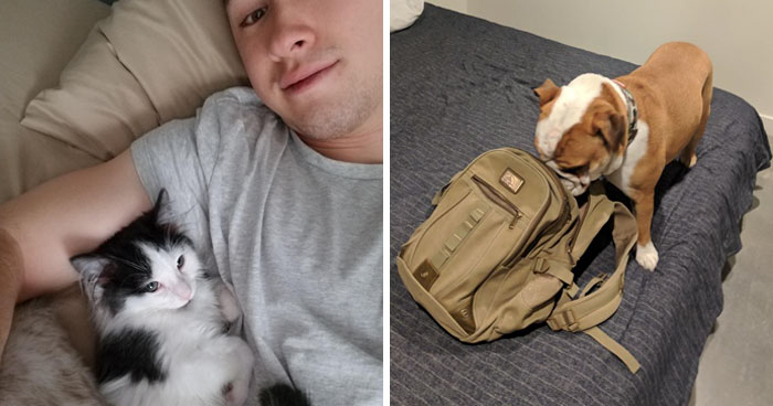 30 Times People Got More Than They Paid For In Their Airbnb Apartments And Met The Cutest Animals