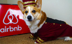 30 Times People Got More Than They Paid For In Their Airbnb Apartments And Met The Cutest Animals