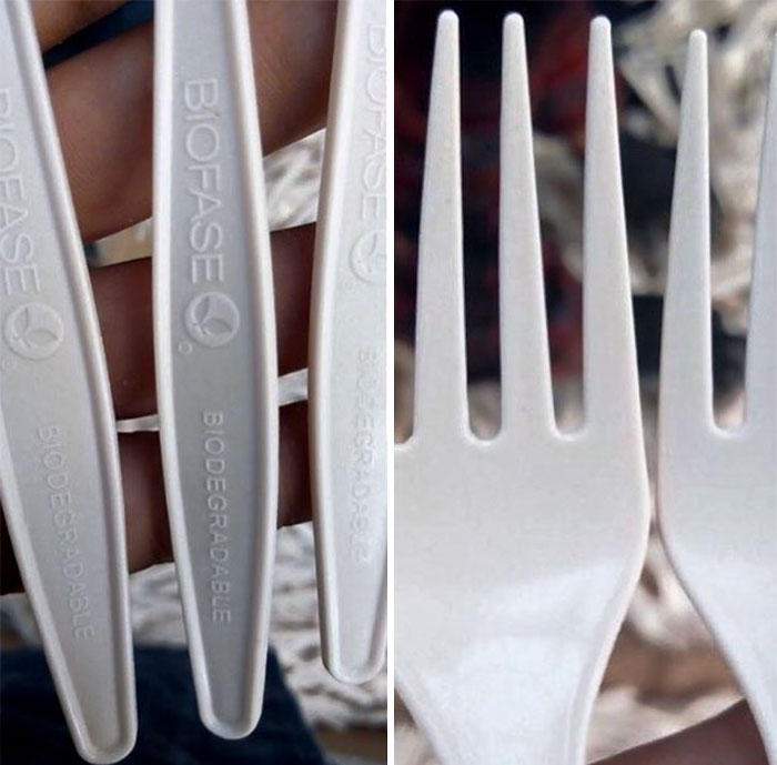 Mexican Company Finds A Genius Way To Use Avocado Seeds To Create Biodegradable Single-Use Cutlery