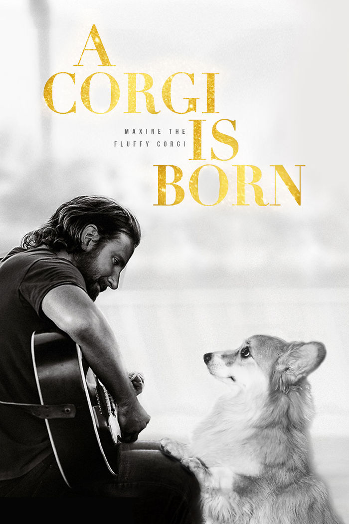 Corgi Gets Photoshopped Into Popular Movie Posters (13 Pics)