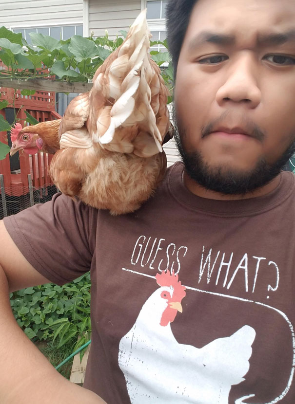 With My Pet Chicken And My New Shirt