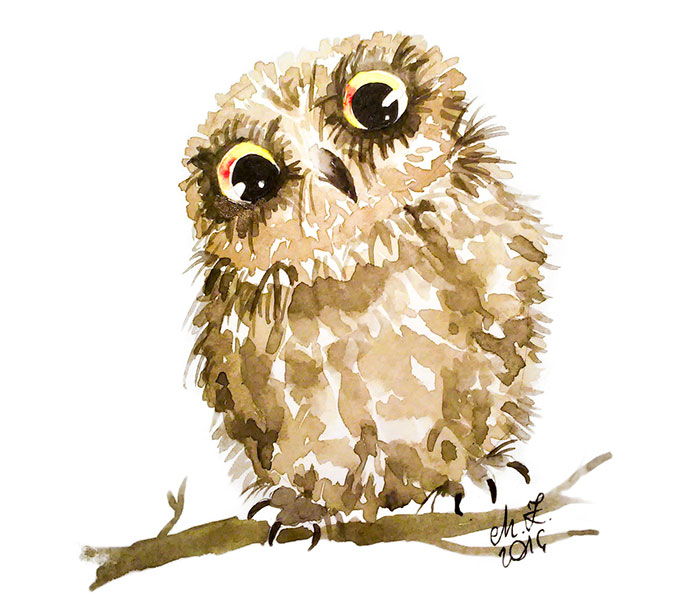 I Painted My First Owl 5 Years Ago, And Haven’t Been Able To Stop Since (54 Pics)
