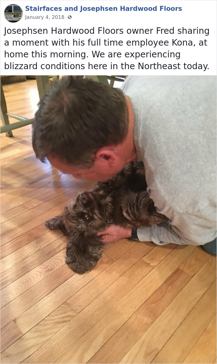 30 Adorable 'Employees Of The Week' That This Contractor Met At The Houses He Works At