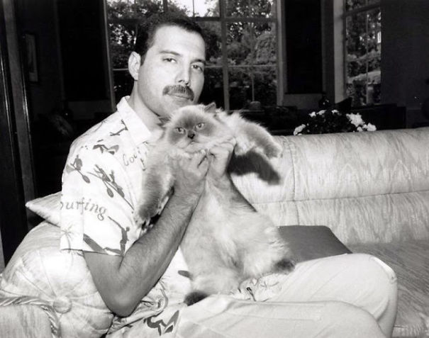 20 Pics Of Freddie Mercury And His Cats, That He Loved And Treated Like His Own Children