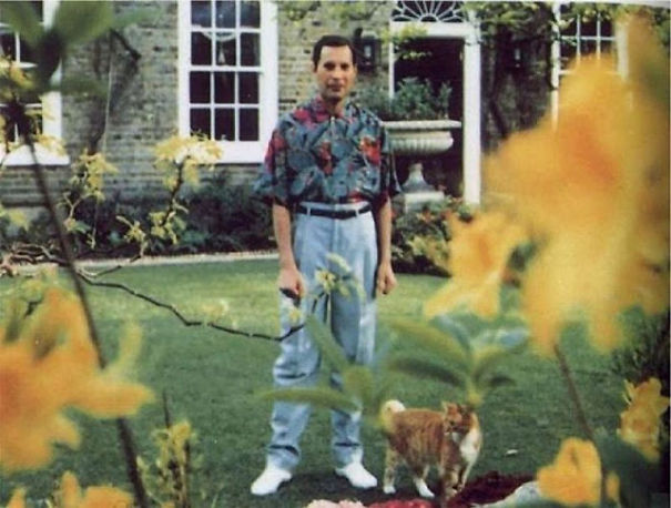 20 Pics Of Freddie Mercury And His Cats, That He Loved And Treated Like His Own Children