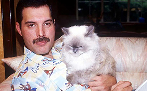 20 Pics Of Freddie Mercury And His Cats, That He Loved And Treated Like His Own Children