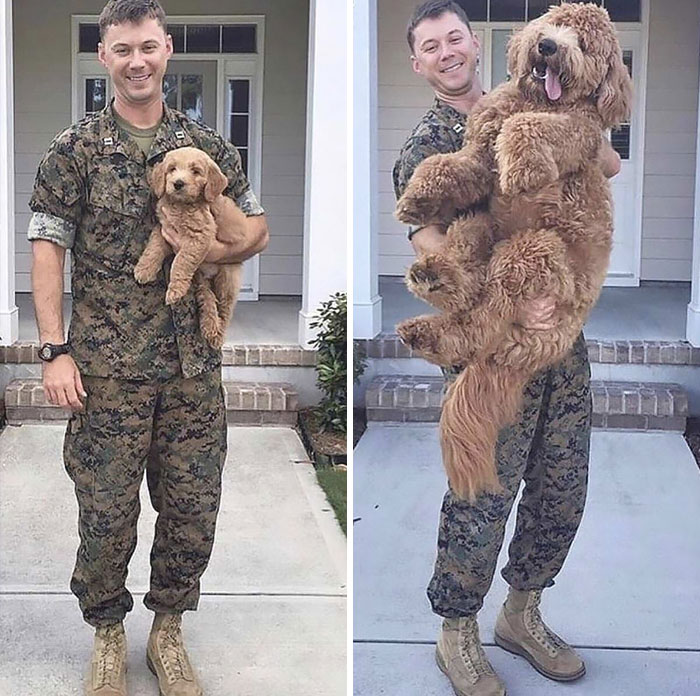 Before and after a man with his dog 