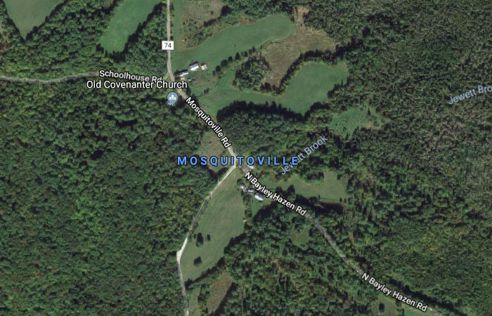 Mosquitoville, Vermont