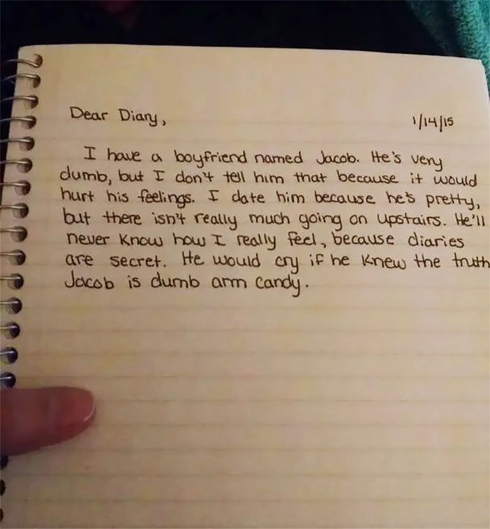 My Girlfriend Started A New Diary Today. I Got Curious And Took A Glance At It After Asking Her About It. Something Tells Me This A Dummy Diary
