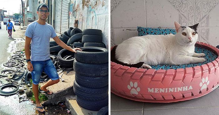 Brazilian Artist Uses The Used Tires That People Throw In The Streets To Create Beds For Animals