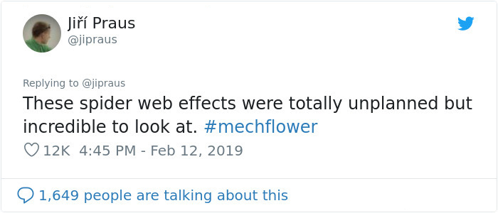 People Are Saying This Husband Just Won Valentine's Day By Gifting His Wife A Mechanical Flower That Blooms When Touched