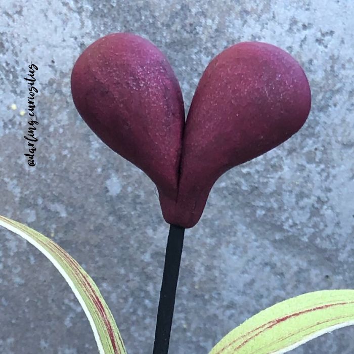 Valentines Day Collection