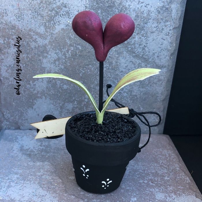 Valentines Day Collection